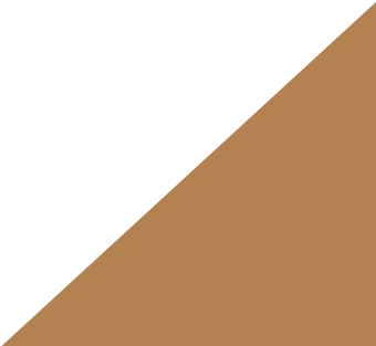 ikona